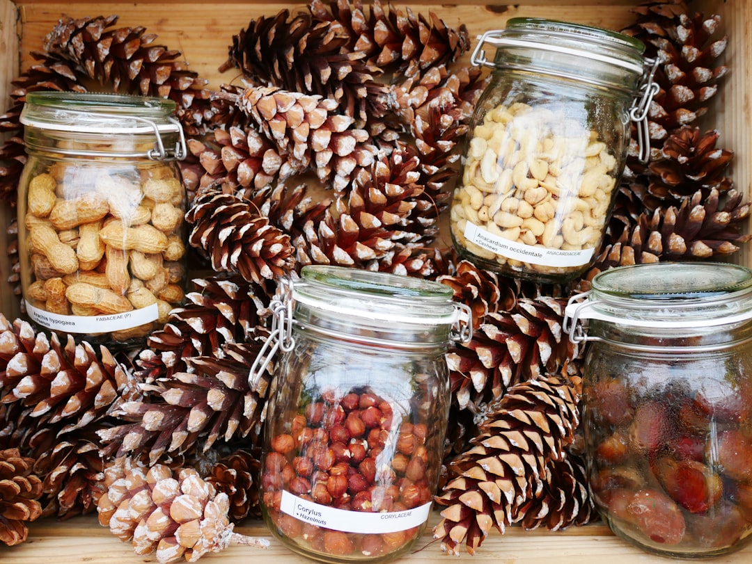 Przetwory sezonowe przepisy: Jak wykorzystać letnie owoce i warzywa 11 Photo seasonal preserves recipes