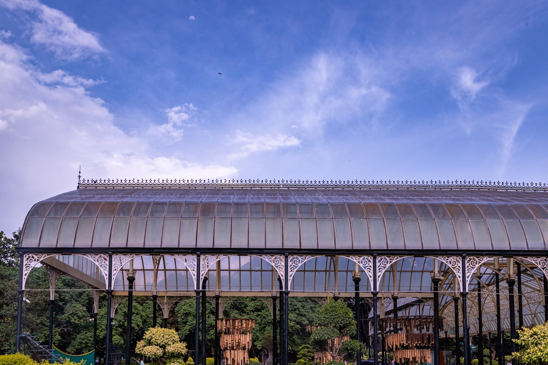 Photo Heritage conservation