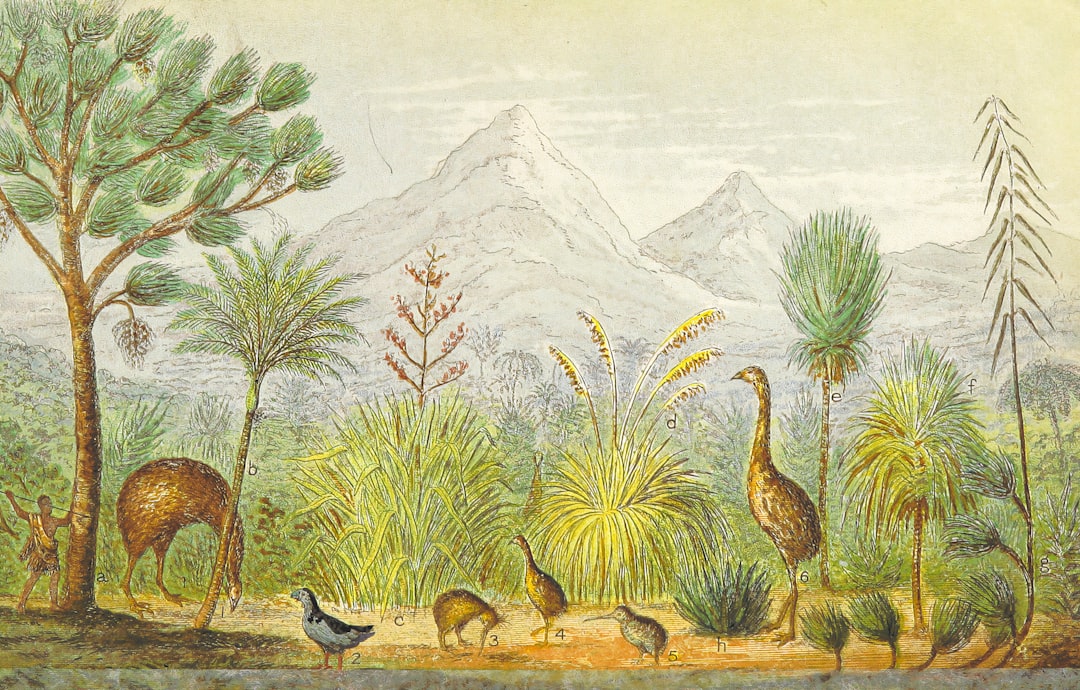 Photo conservation techniques